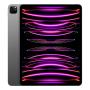 Apple iPad Pro 12,9" (M2, 2022, 6 gen) Wi-Fi 256Gb Space Gray, «серый космос»