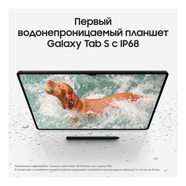 Samsung Galaxy Tab S9 11" Wi-Fi 8/128Gb Graphite, графит