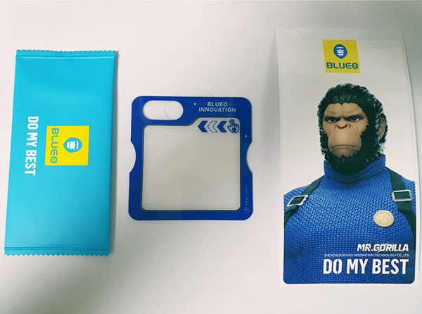 Защитное стекло для Galaxy Z Flip6, BlueO Silk Full cover Anti-Static (с рамкой, антистатик) Черный