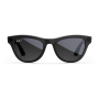 Умные очки Ray-Ban Skyler Gen 2 (RW4014), размер L, Matte Black/Polarized Gradient Graphite
